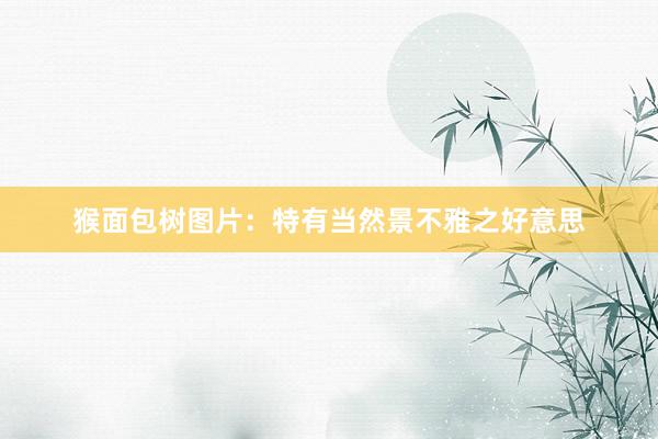 猴面包树图片：特有当然景不雅之好意思