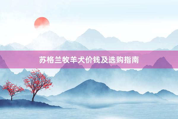 苏格兰牧羊犬价钱及选购指南