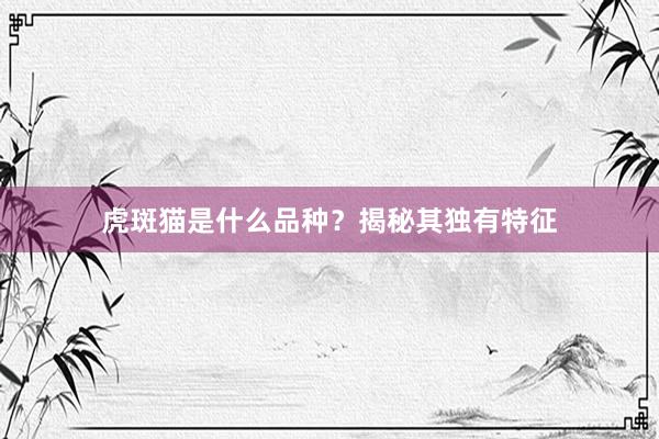 虎斑猫是什么品种？揭秘其独有特征